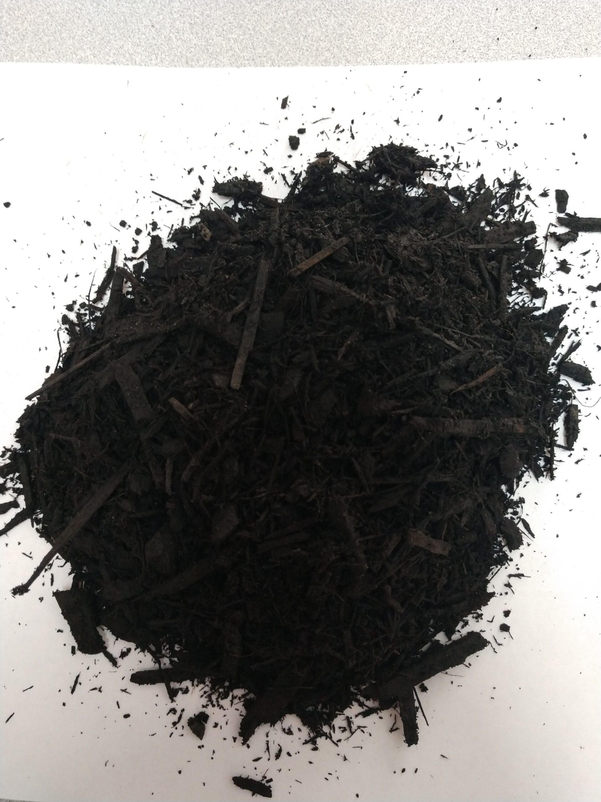 ch!iiibag Mulch Circle Bag ブラック ch!iiibag Mulch Circle Bag(ノベルティキーチャーム付)-PSA 10